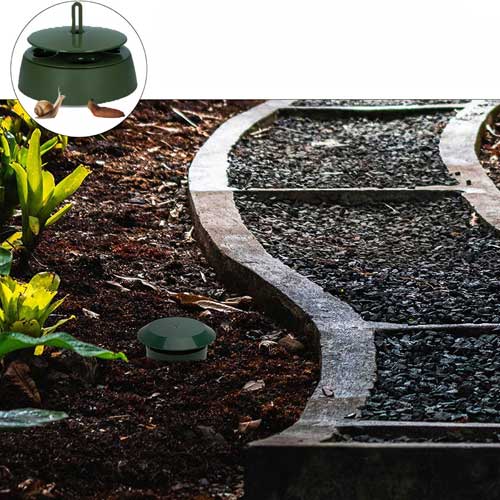 jedinstvena zamka za puževe